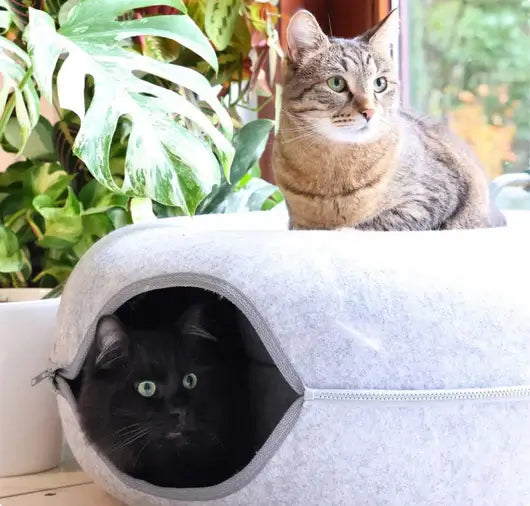 KATLAND™ – Luxe Donut Kattenmand & Speeltunnel