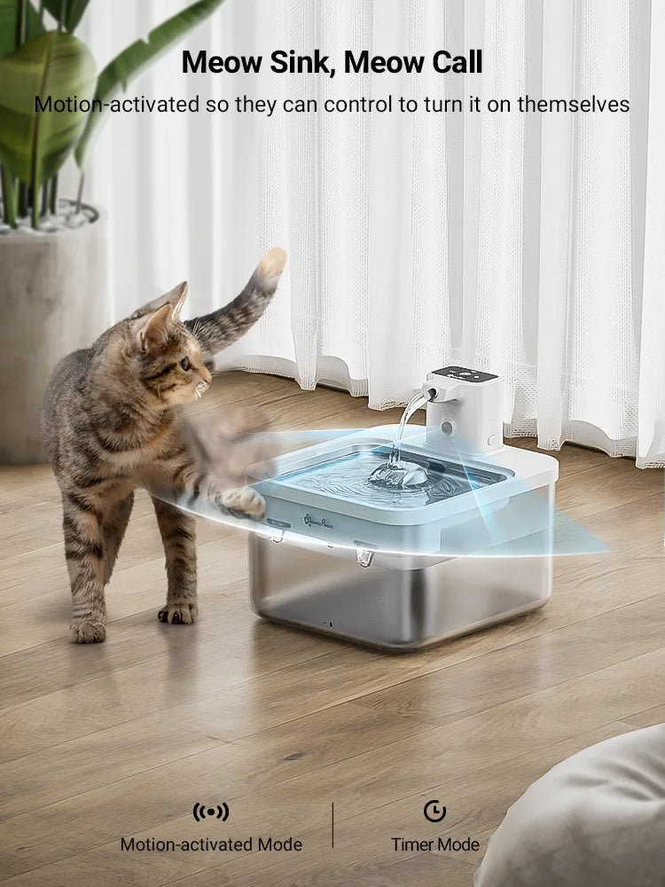 KATLAND™ Katzenbrunnen – Robust, leicht zu reinigen & ideal für sensible Katzen