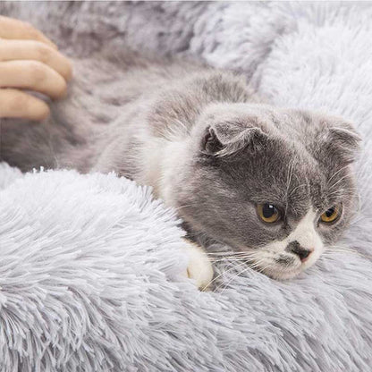 kattenmand, kattenmand action​, kattenmand verwarming​, intratuin kattenmand​